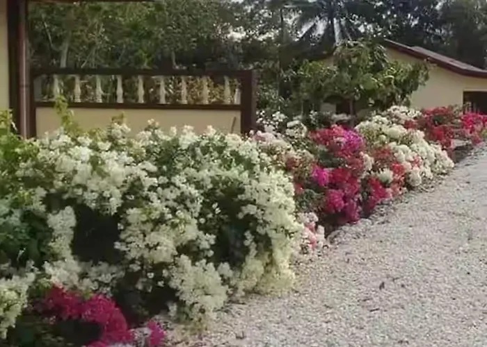 Garden *